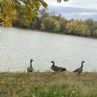 Fairbanks park Indianapolis USA