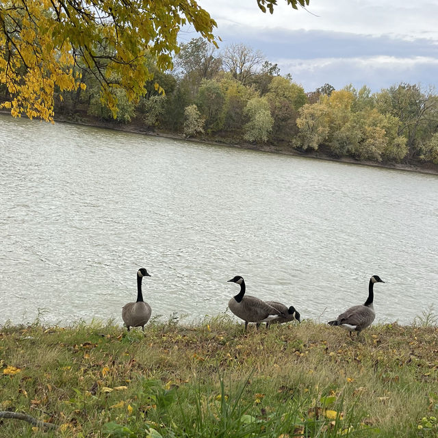 Fairbanks park Indianapolis USA