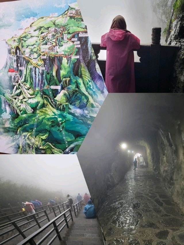 Tianmen Mountain Perfect Guide