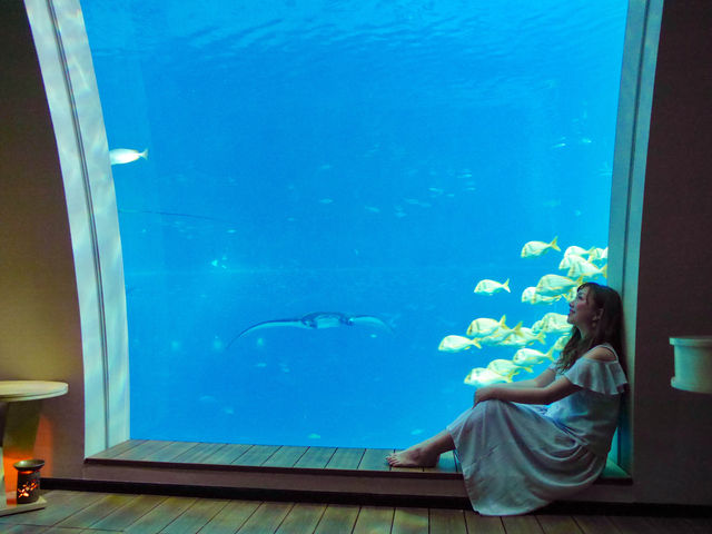 【水族館ホテル⁉︎】贅沢すぎる水族館ビュールームにステイ！