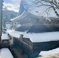 【福井県🇯🇵 大本山永平寺】世界遺産のお寺へ☺️