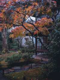 🍁 秋の無鄰菴で心落ち着く時間を 🍁