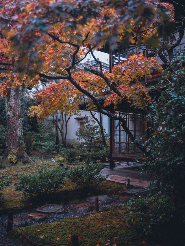 🍁 秋の無鄰菴で心落ち着く時間を 🍁