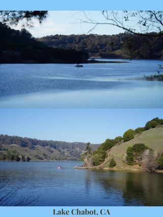 🇺🇸 Lake Chabot in California: A hidden lakeside secret where you can breathe in oxygen and relax until you don’t want to go back to the city🌲
