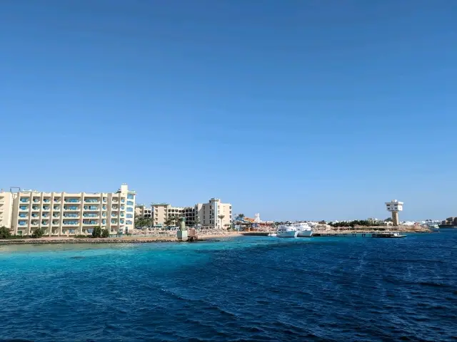 후르가다 출발 돌고래 관찰 및 스노클링 투어.