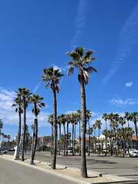 カリフォルニア&ディズニーランド旅行✈️