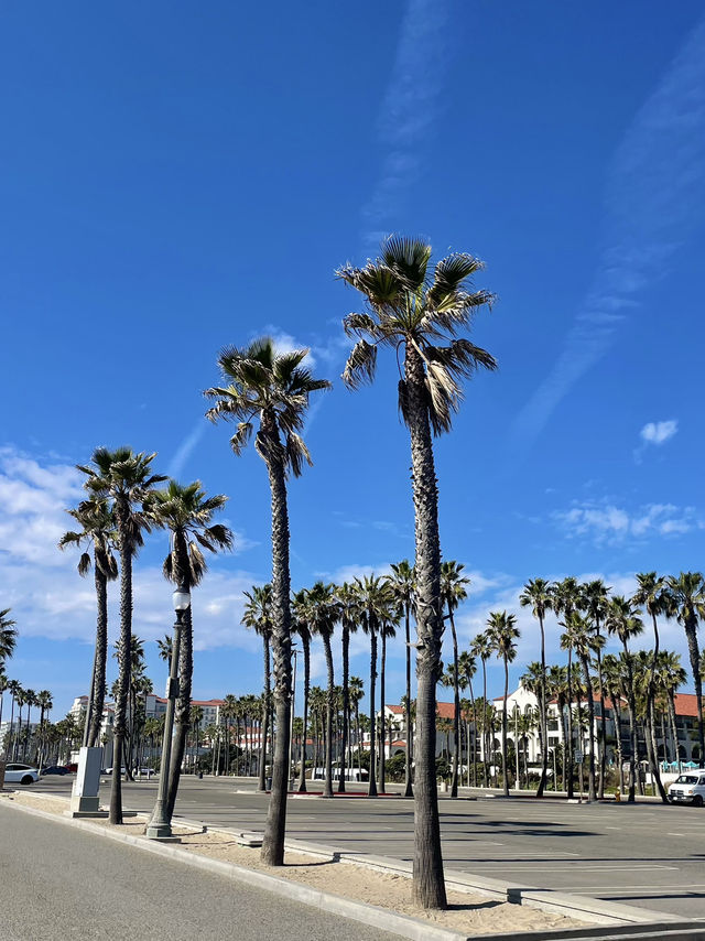 カリフォルニア&ディズニーランド旅行✈️