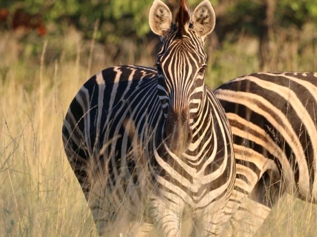 Majestic. Beauty. Stunning. South Africa at its finest