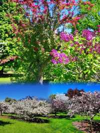 Longenecker horticultural Gardene(朗格內克園藝花園)