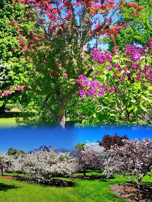 Longenecker horticultural Gardene(朗格內克園藝花園)