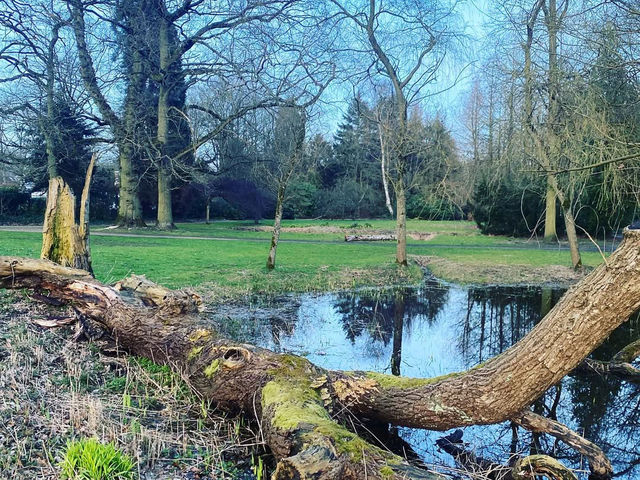 A Green Paradise in Brasschaat 🌳🏰