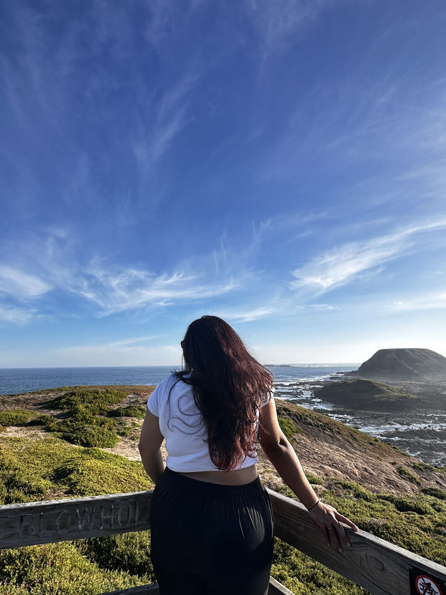 Phillip Island - The ultimate coastal escape 