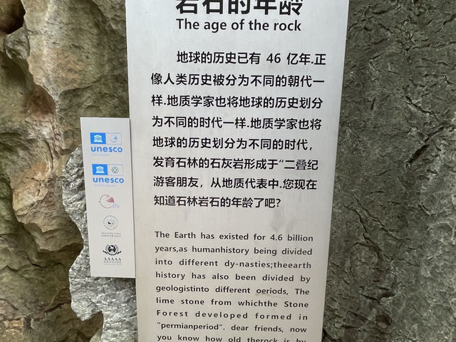 探訪地球的史詩雕刻師——麗江石林穿越之旅