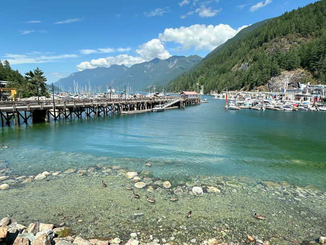 🇨🇦Vancouver에서 가장 평화롭고 아름다운 동네 Horseshoe bay!!