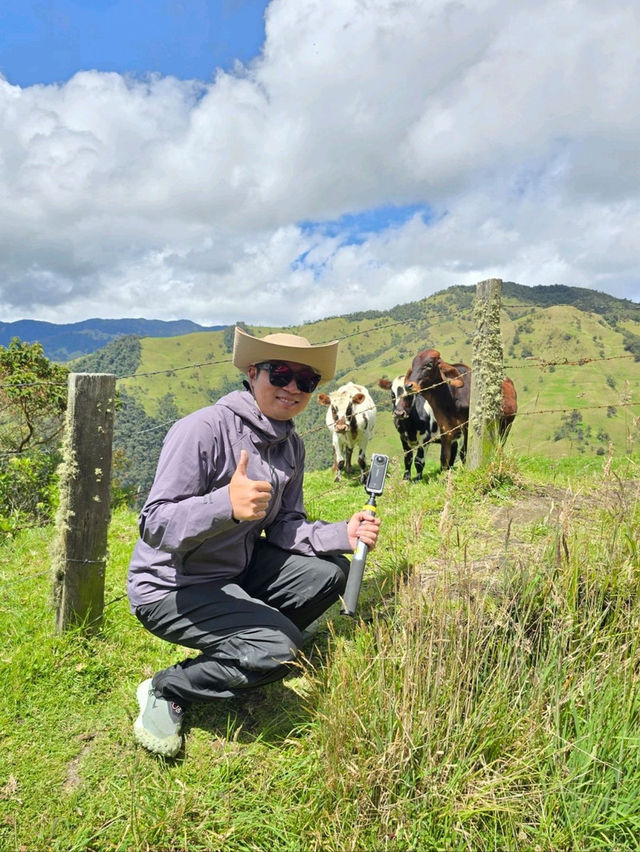 🌟走進《魔法滿屋》的一天｜La Carbonera & Cocora Valley 棕櫚樹仙境攻略 🇨🇴