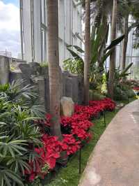Shanghai Greenhouse Garden