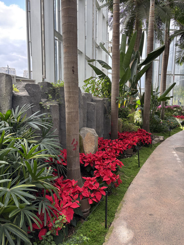 Shanghai Greenhouse Garden