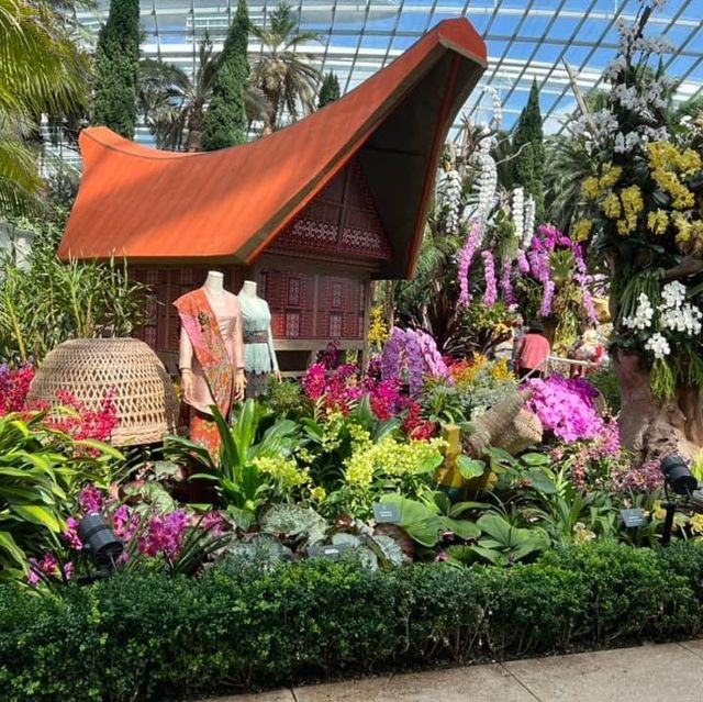 Flower Dome Singapore 🌼