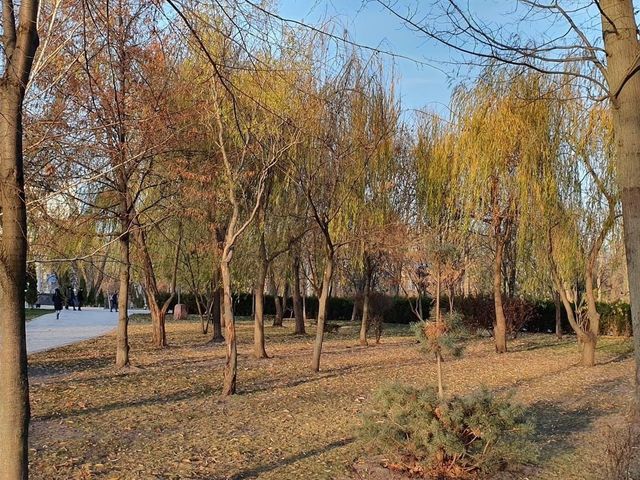 Taras Shevchenko Park in autumn 🗺️