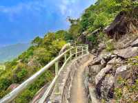 市區簡易郊遊 - 黃泥涌峽徑