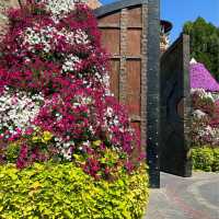 Dubai Miracle Garden is breathtaking 