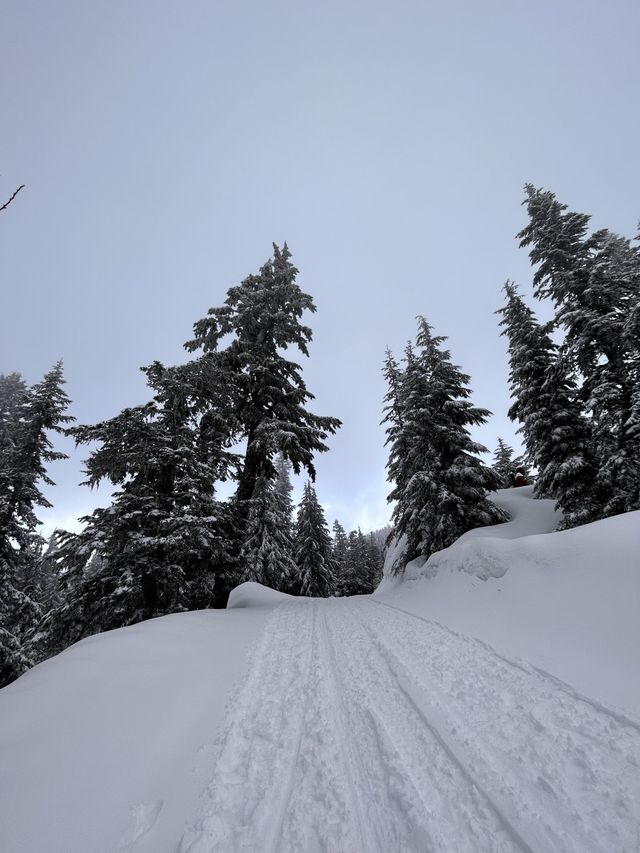 Grouse Mountain BC, Vancouver