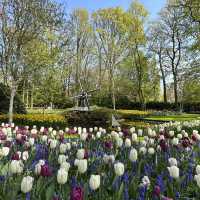 Keukenhof Garden