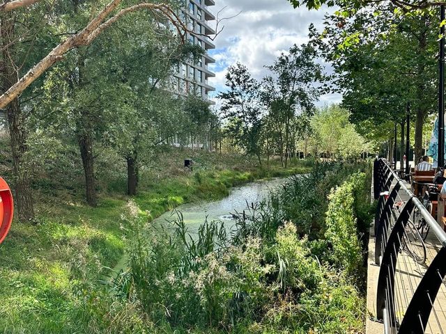 Queen Elizabeth Olympic Park 🇬🇧