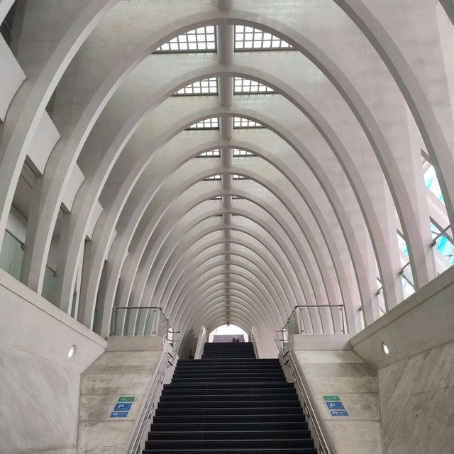 Calatrava’s Masterpiece in Liege