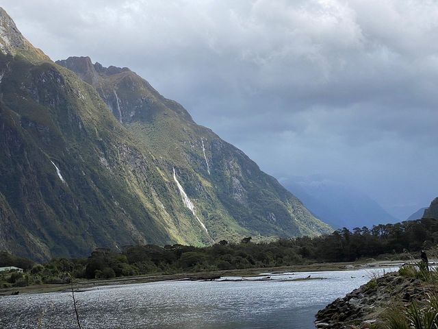 Fiords and Falls: Milford Sound Magic