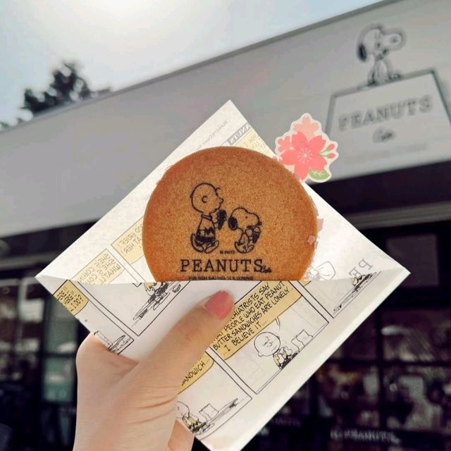 🥜史努比博物館🥜可以親手制作專屬的snoopy✨️