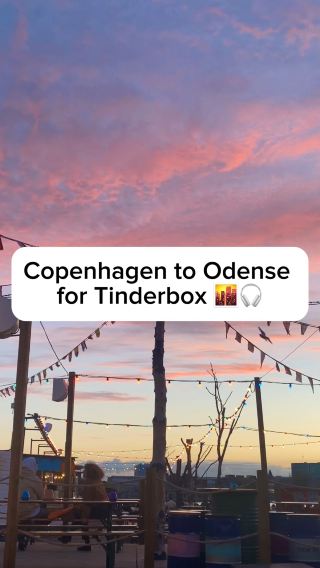 Copenhagen to Odense for Tinderbox 🌆