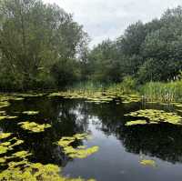 Cambridge to Grantchester: from the city to the countryside