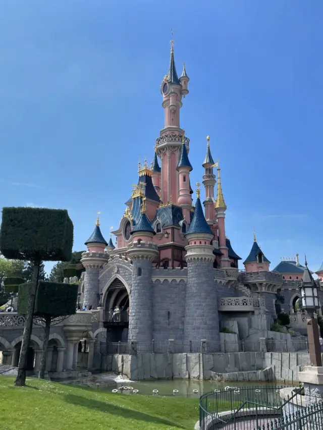 Disneylnd with kids 🎉