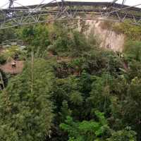 Eden Project Cornwall 😍