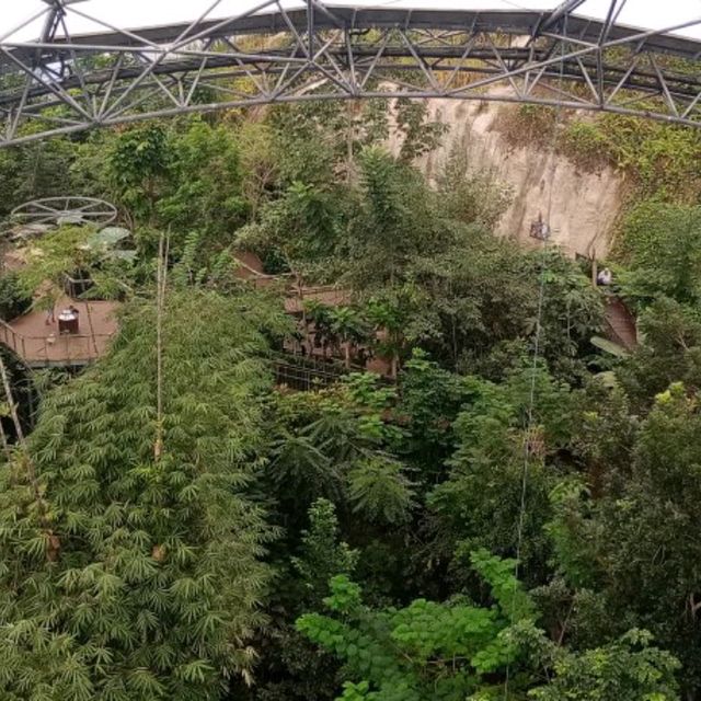 Eden Project Cornwall 😍