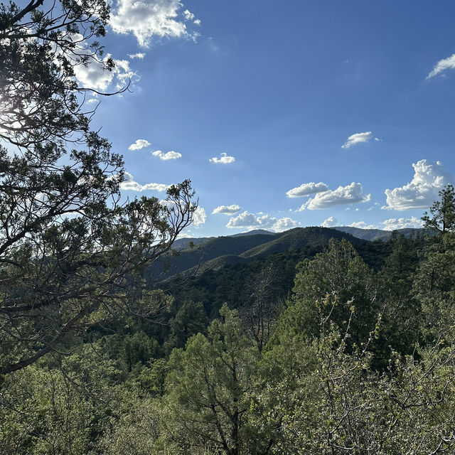 A hike through the forest
