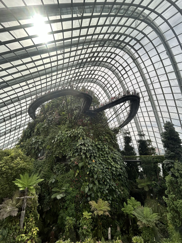 🌿✨ Cloud Forest Singapore: A Misty Wonderland in the Tropics