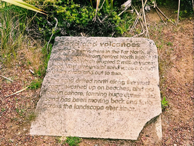 Cape Reinga Lighthouse Road Trip: The Ultimate Northern Adventure