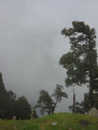 Triund Hike, Dharamshala
