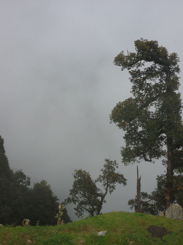 Triund Hike, Dharamshala