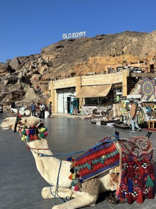 Perfect Sharm El Sheikh Itinerary 
