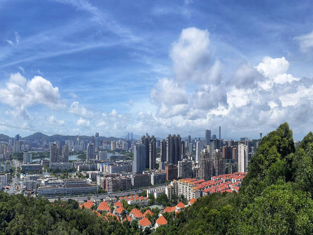Xiamen Transit: A Scenic Escape Along the Shanhai Trail