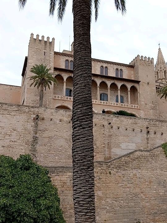 A trip to palma