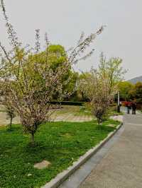 Wuxi Day Trip: Huishan Ancient Town & Nanchang Street
