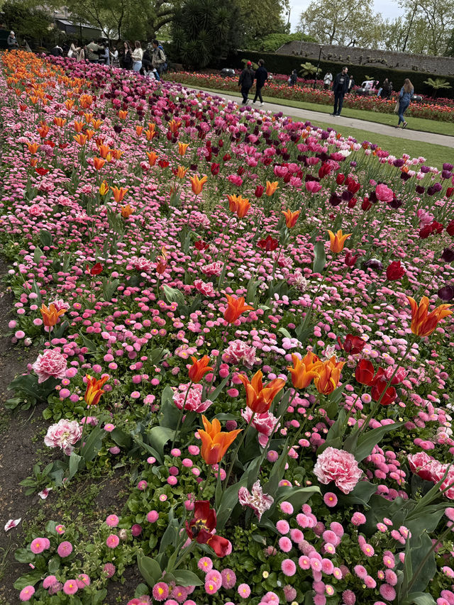 四月的倫敦，空氣中的花團錦簇