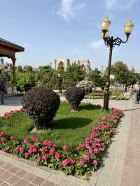 Spring Blossoms at Turan Park