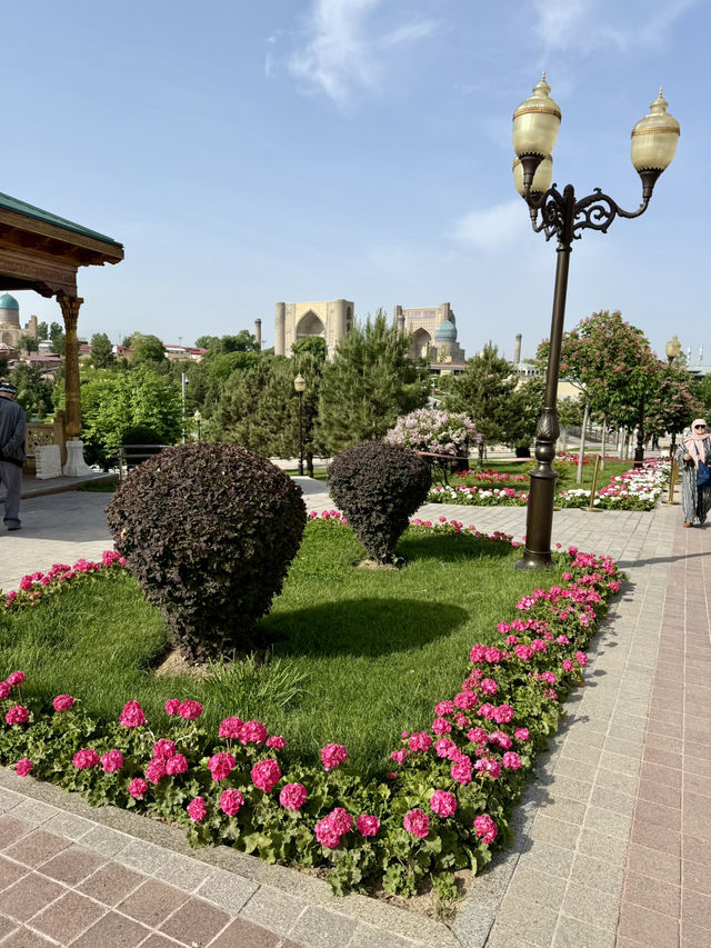 Spring Blossoms at Turan Park