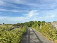 Sea, sand and Charles Dickens - Broadstairs day trip from London 