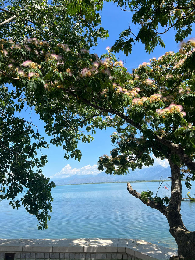 Moments by Albania’s Largest Lake 🇦🇱